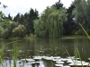 Stretham Lake, Cambridgshire