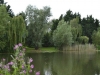 Stretham Lake, Cambridgshire