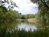 Stretham Lake, Cambridgshire